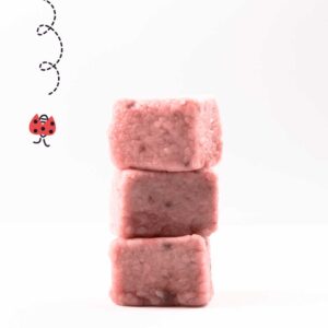 Dix guimauves à la mûre – moelleuses et fruitées