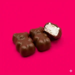 6 Oursons guimauve vanille enrobés de chocolat au lait